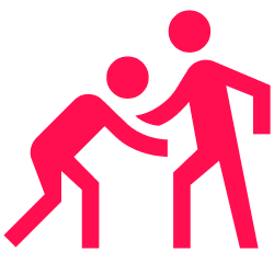 Feature icon