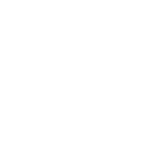 Formula 1